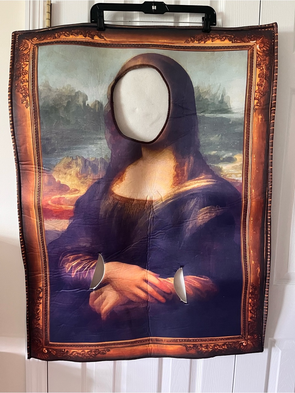 Mona Lisa Painting Picture Frame Adult Halloween Costume Famous Art Renaissance